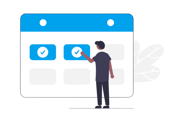 best wordpress seo expert