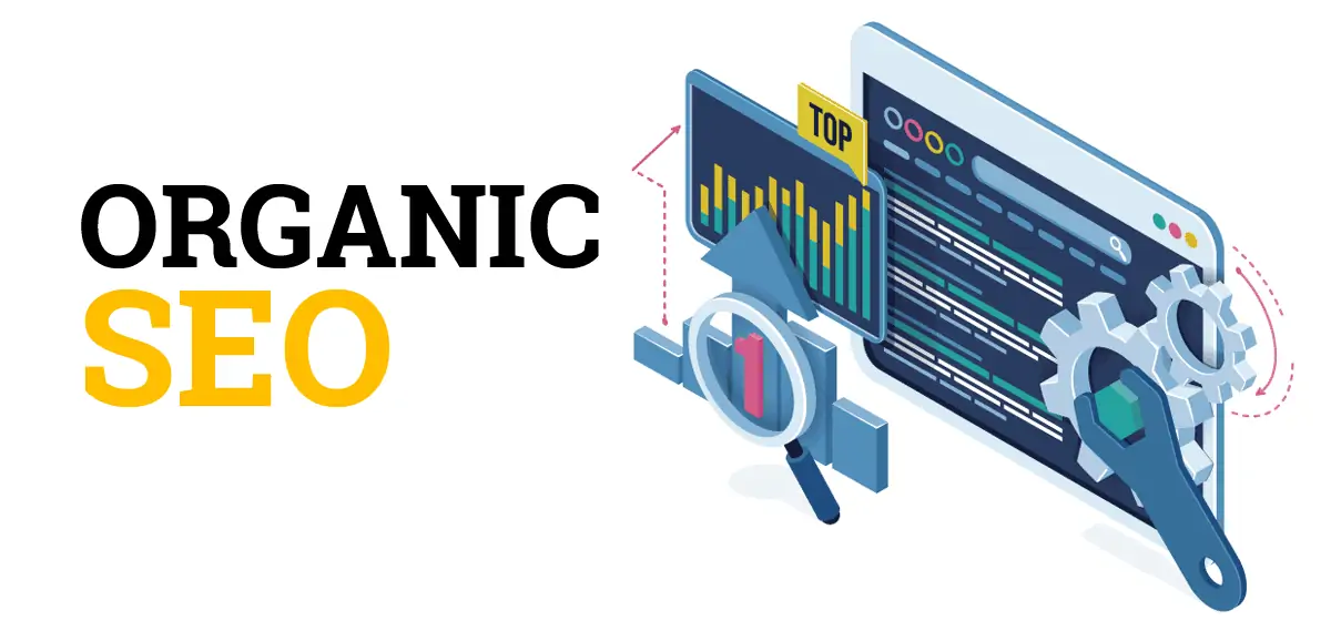 organic seo expert